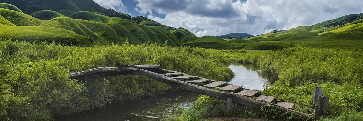nagaland